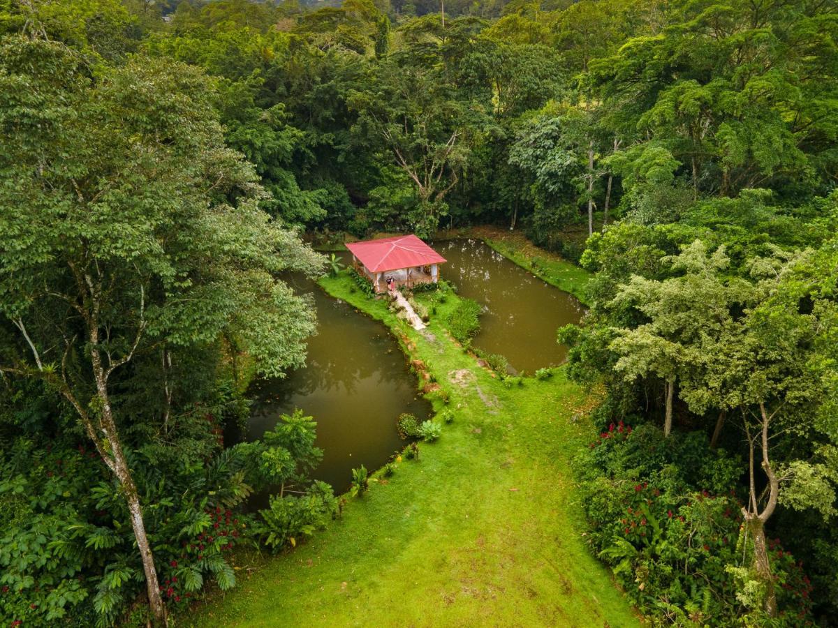 阿拉安比贵小屋酒店 Sarapiquí 外观 照片