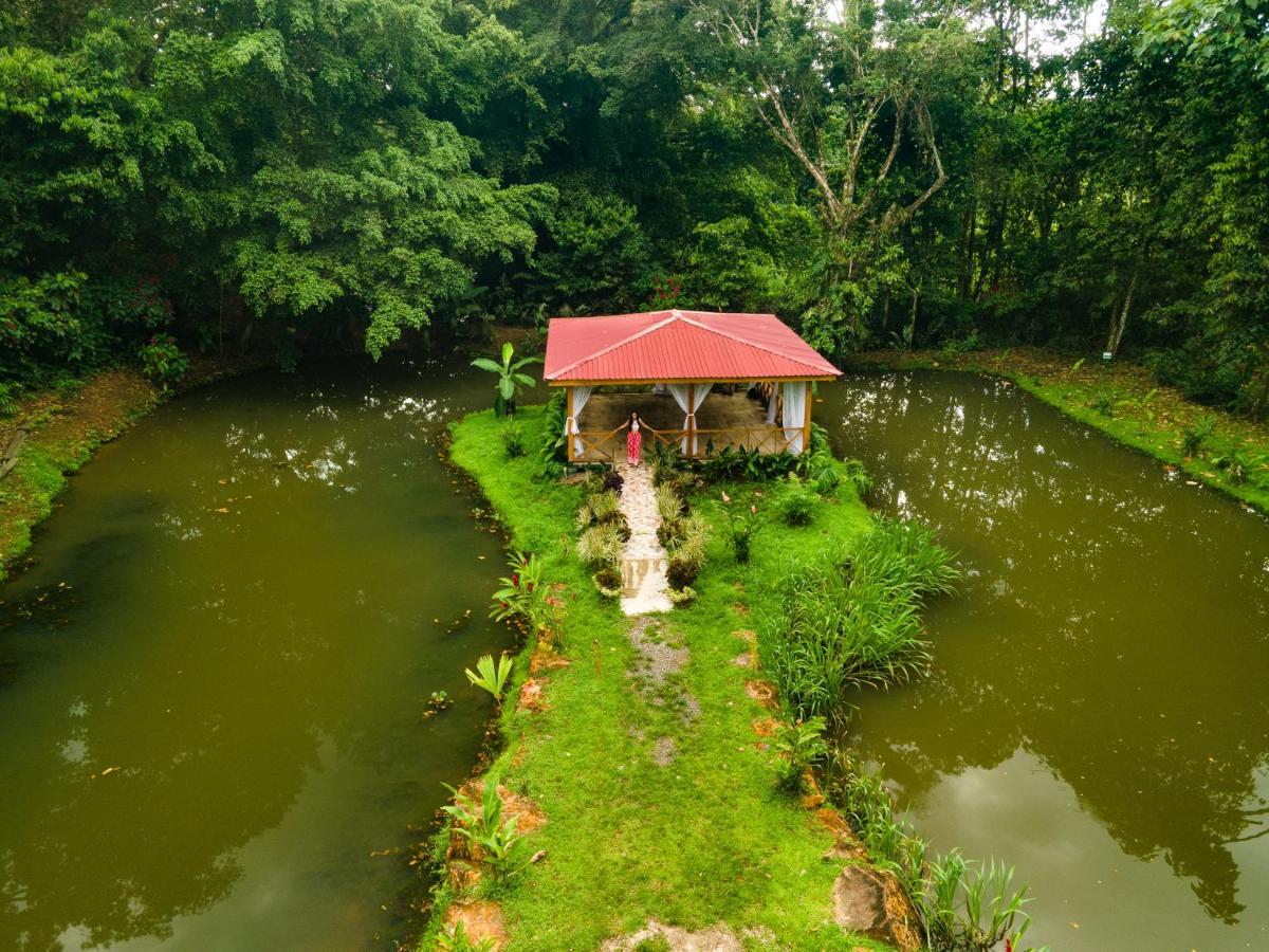 阿拉安比贵小屋酒店 Sarapiquí 外观 照片