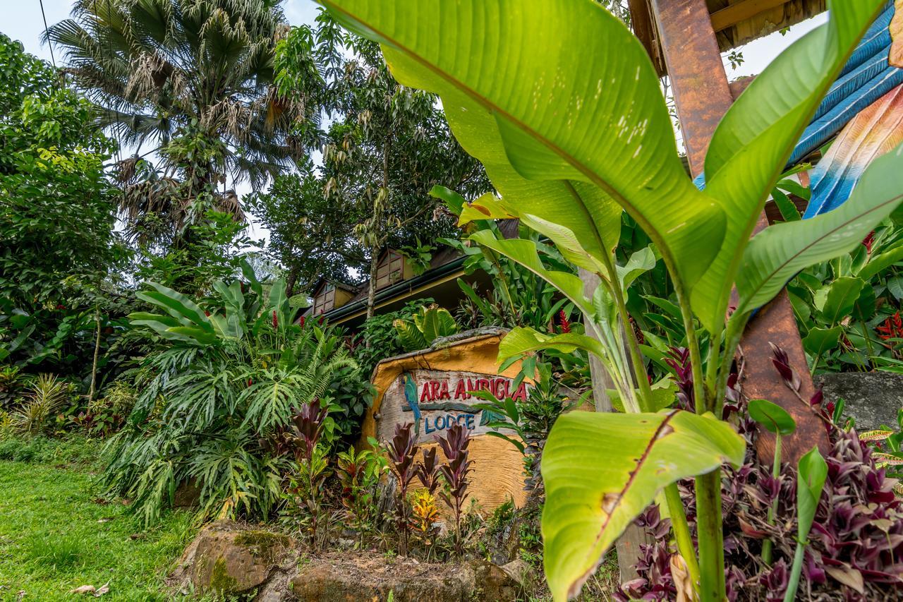 阿拉安比贵小屋酒店 Sarapiquí 外观 照片
